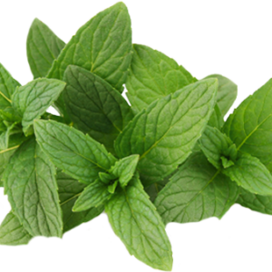 Peppermint Essential Oil 30ml