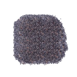 Chaksu Seeds