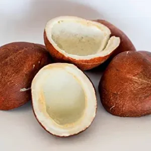 41ZljSBlSL.jpg Dried Coconut (Khopra, Khushk Naryal)