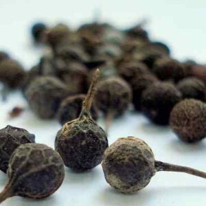 Version 1.0.0 Cubeb (Kabab Cheeni) sard chini