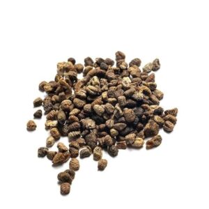 5140ttyjg0L._SX679_ Green Cardamom Seeds Choti Elaichi Dana