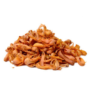 Mace (Javitri) jalwatri
