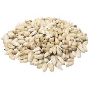 Safflower (Qurtum) kurtum seeds