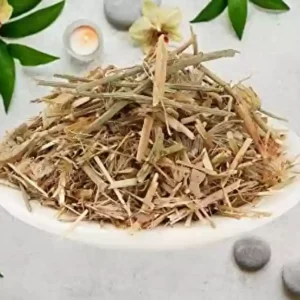 Braham Dandi – Brahm Dandi – Barham Dandi (Indian Globe Thistle)