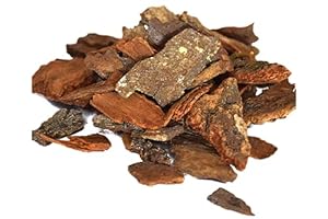 41u+mMtrptL._SX300_SY300_ Arjuna Bark (Arjun Ki Chaal)