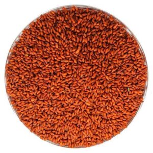 Version 1.0.0 Cress Seeds (Tukhm-e-Hilyun) Halon Seeds