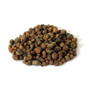AustralianPineTreeFruit_MaeKhurdo Australian Pine Tree Fruit (Mae Khurdo)