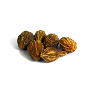 ChebulicMyrobalan_BariHar Chebulic Myrobalan (Bari Har)