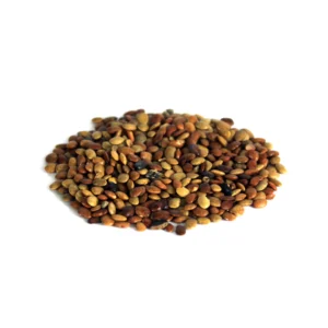 Chinese Chaste Tree Seeds (Tukhm-e-Sanbhalu) Sambhalo Seeds