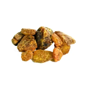 DriedCheerPine_BehrozaKhushk Dried Cheer Pine (Behroza Khushk)