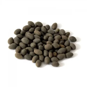 Bonduc Nut (Karanjoh)