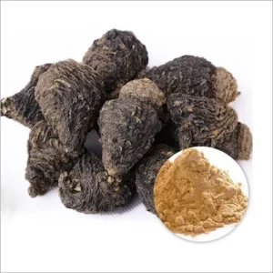 Black Maca Roots