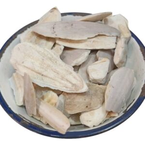 samundri-jhag-3-5-inches Cuttlefish Bone (Samandar Jhag)