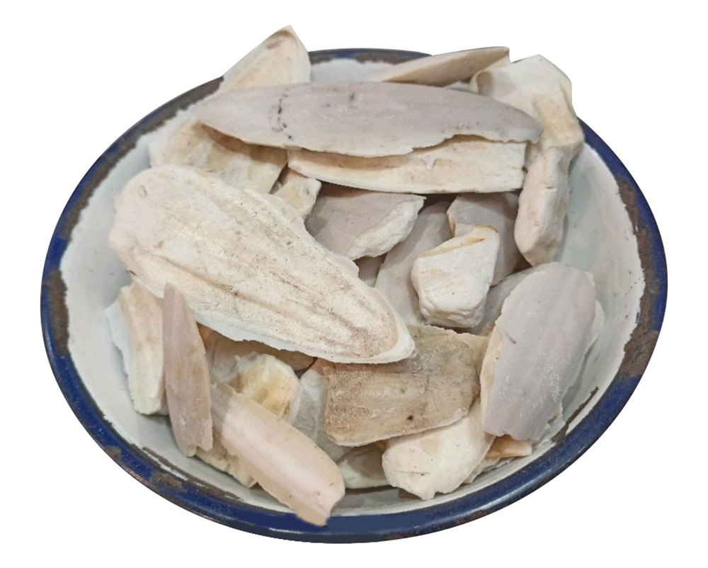 Cuttlefish Bone (Samandar Jhag)